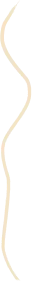 Left Squiggly Line
